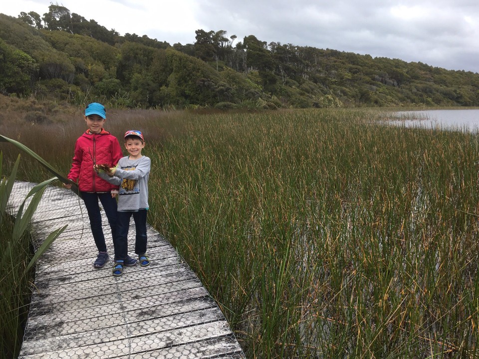 Neuseeland - Haast - Sumpfgebiet auf der Wanderung.