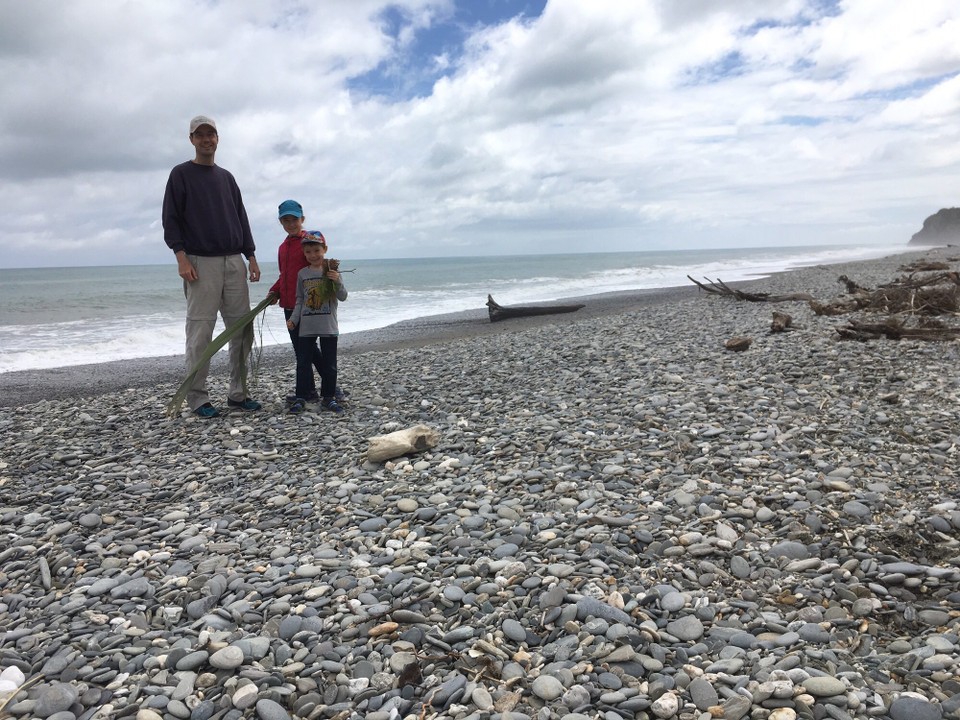 Neuseeland - Haast - Viele flache runde Steine. 