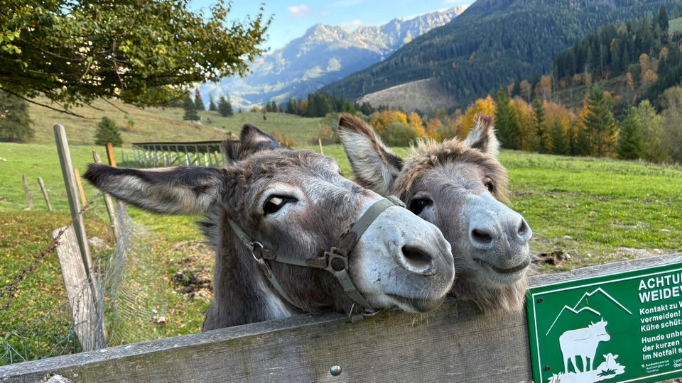 Österreich - Steyr - 