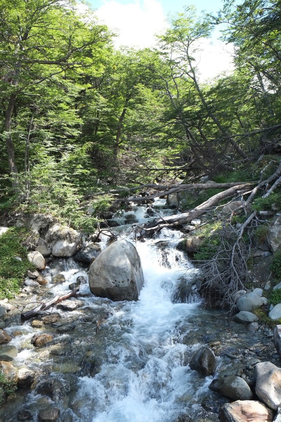 Argentina - Ushuaia - 
