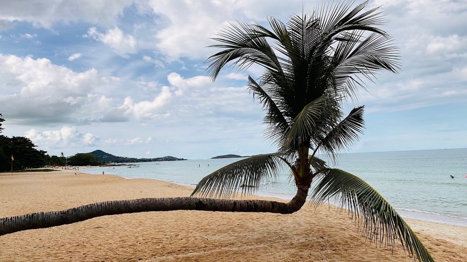 Thailand - Koh Samui - 