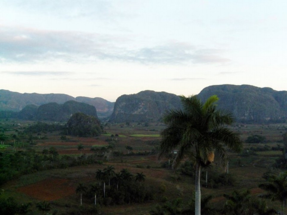 Kuba - Viñales - Tabakfelder II.
