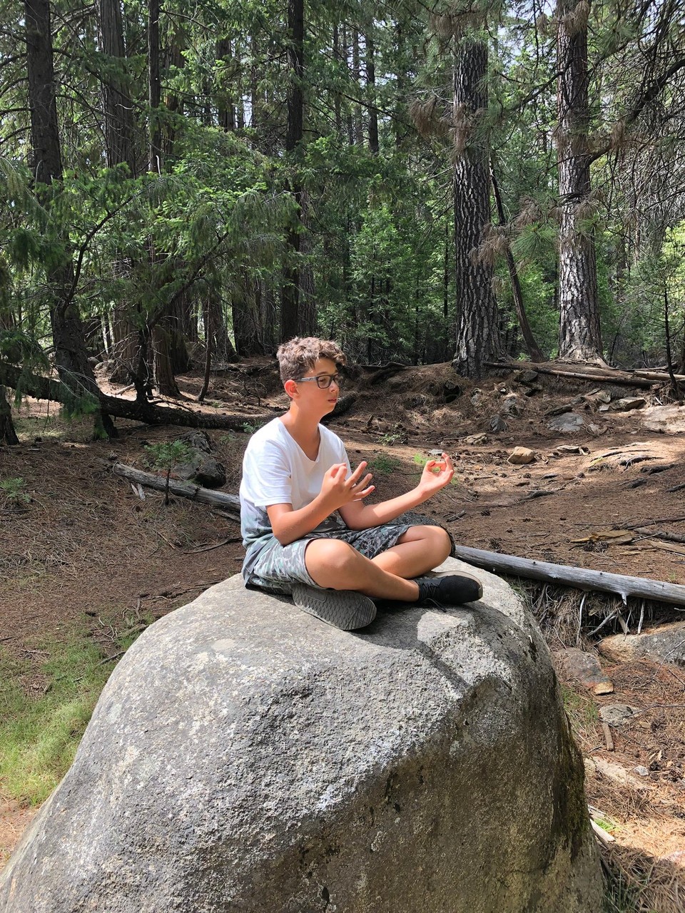 Vereinigte Staaten - Yosemite National Park - ... und mentalen Kräfte. 
