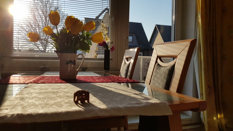 Deutschland - Pinneberg - Eleonor wieder zu Hause