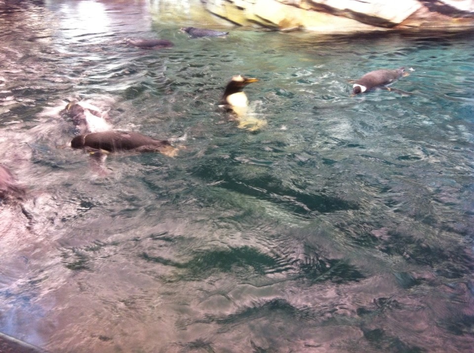 Egyesült Államok - Orlando - 