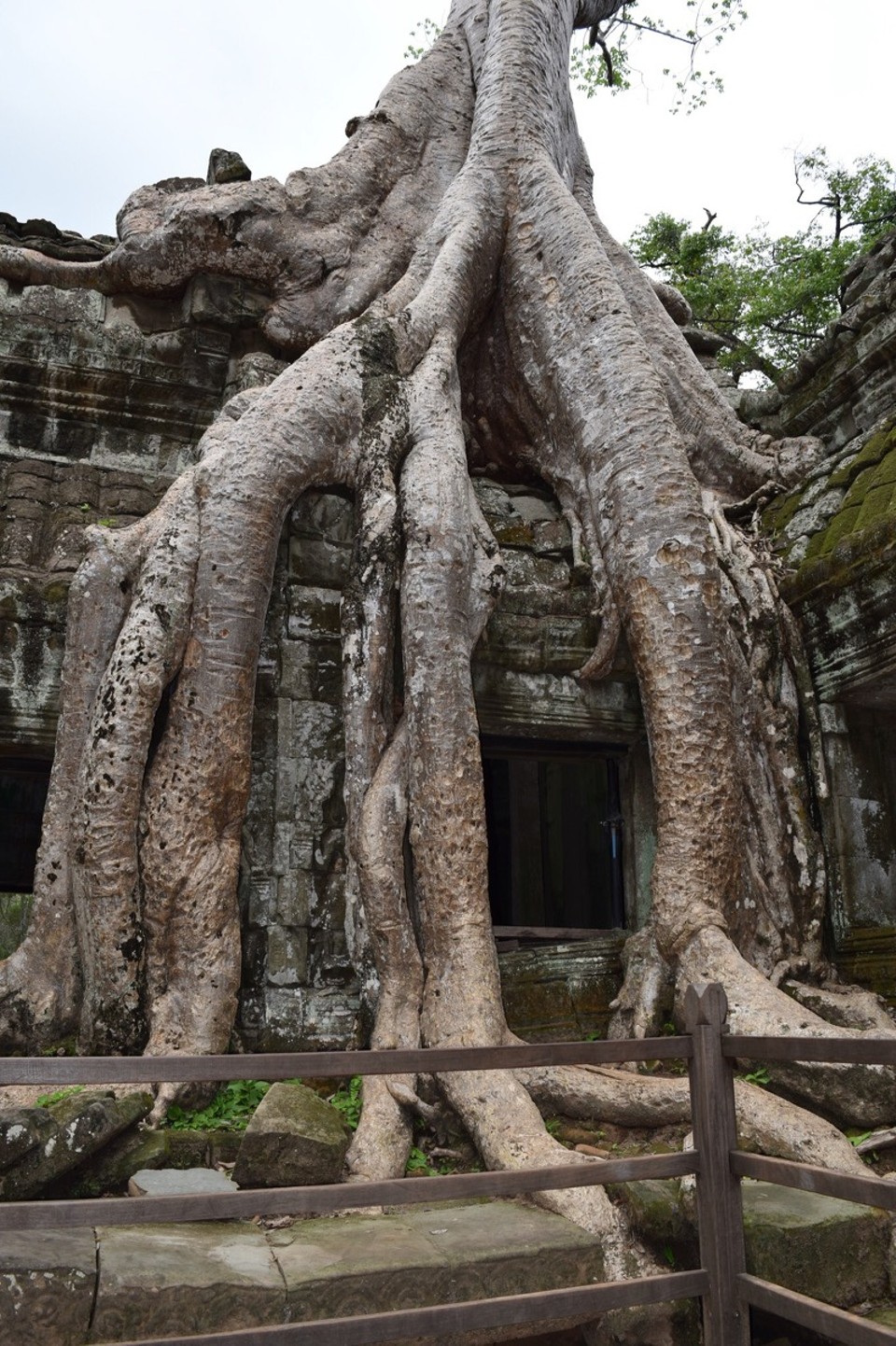 Cambodia -  - 