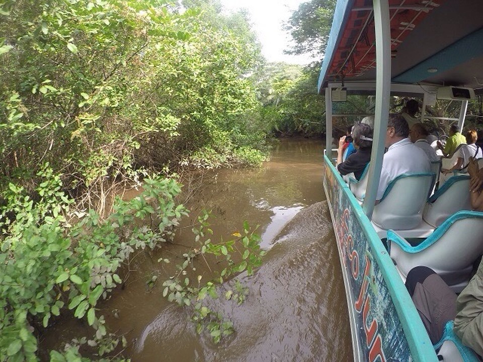 Costa Rica - Puntarenas - Flussfahrt zu den Mangroven