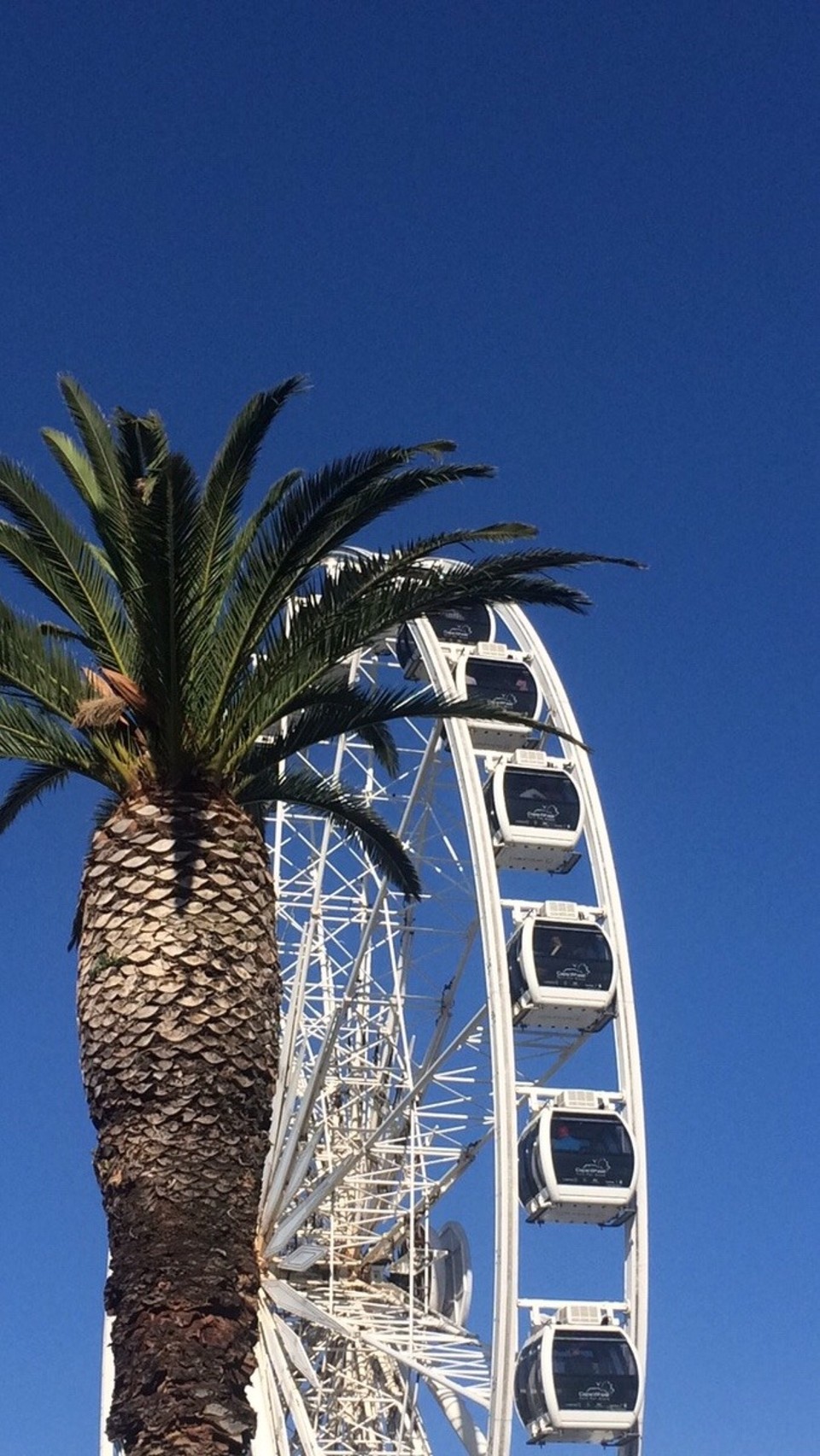 Südafrika - Cape Town - 