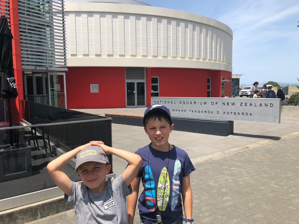 Neuseeland - Napier - National Aquarium Napier