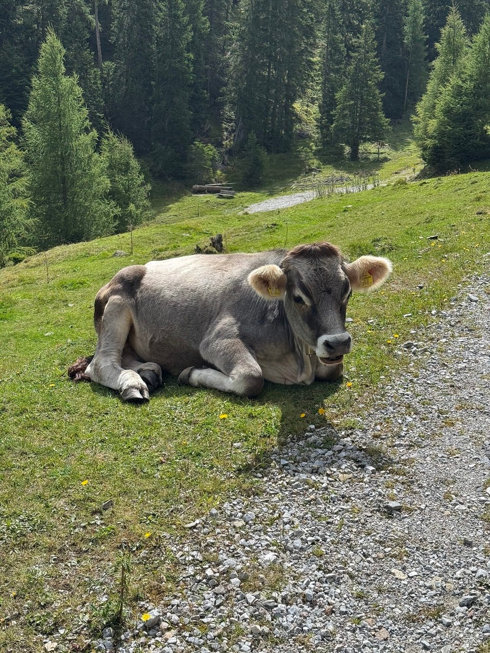 Österreich - Mühlbachl - 
