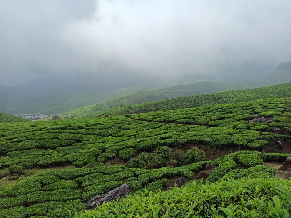 Indien - Suryanelli - 