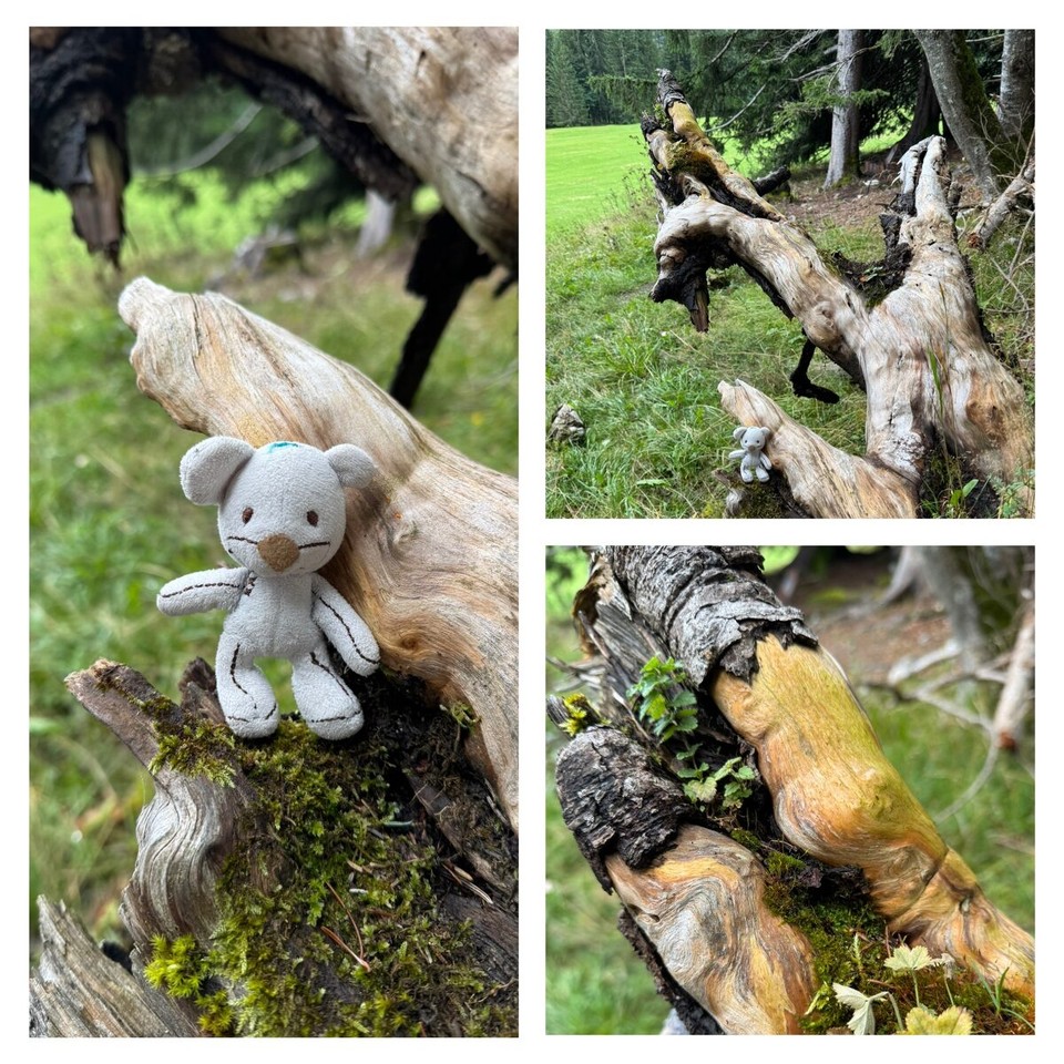 Deutschland - Mittenwald - 