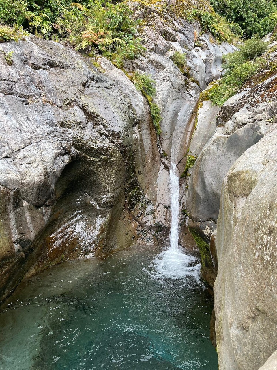 Neuseeland - Eltham - 