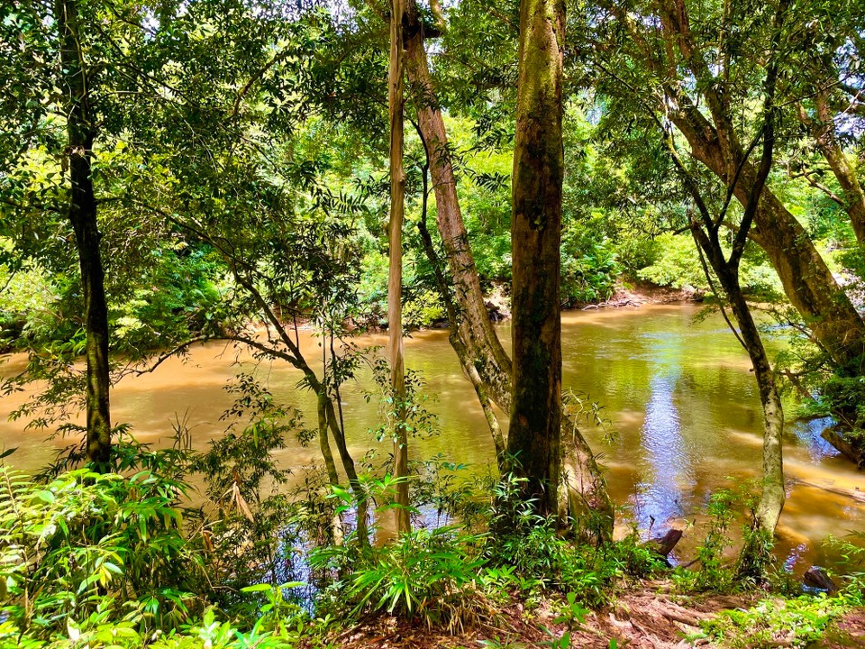 Malaysia - Jerantut - 