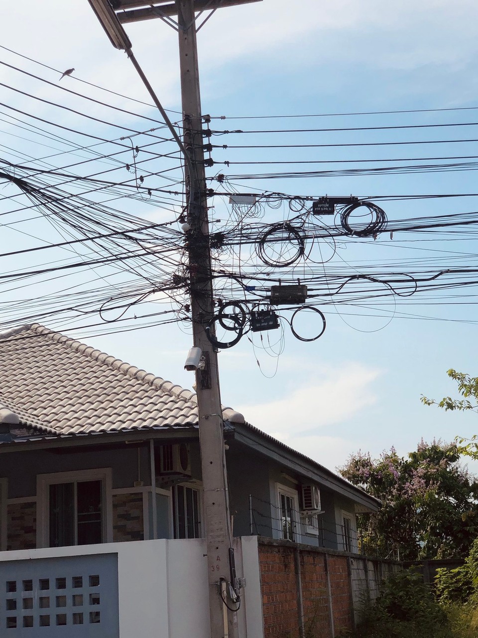 Thailand - Chiang Mai - Die Stromleitung in unserer Straße. Verhältnismäßig noch sehr ordentlich…