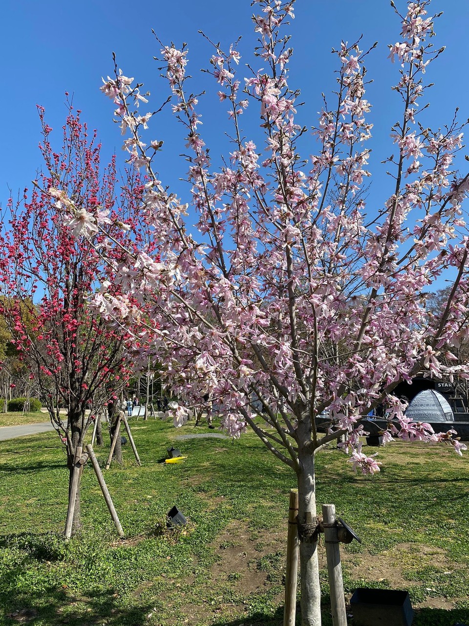 Japan - Minato, Osaka - 