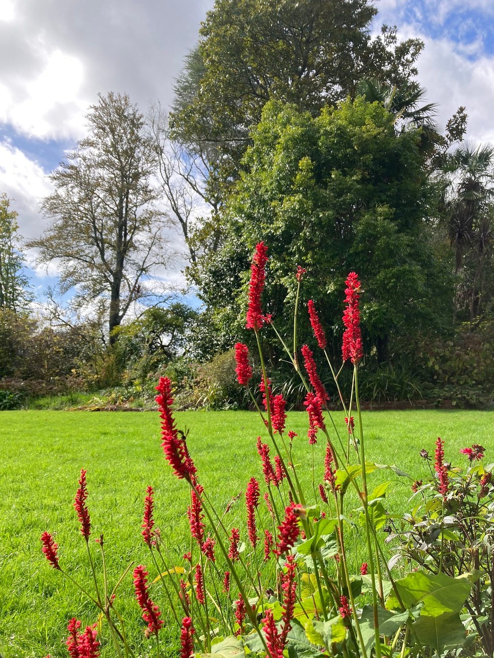 Neuseeland - Gisborne - 