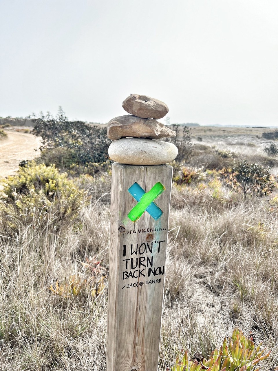 Portugal - Zambujeira do Mar - 