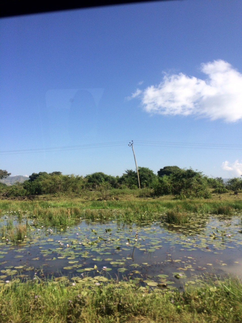 Station 21 -  - Auf dem Weg zu den Wasserfällen des Blue Nile, der aus dem Lake Tana entspringt