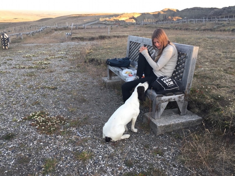 Chile - Punta Arenas & Porvenir - We called him Snoopy ...