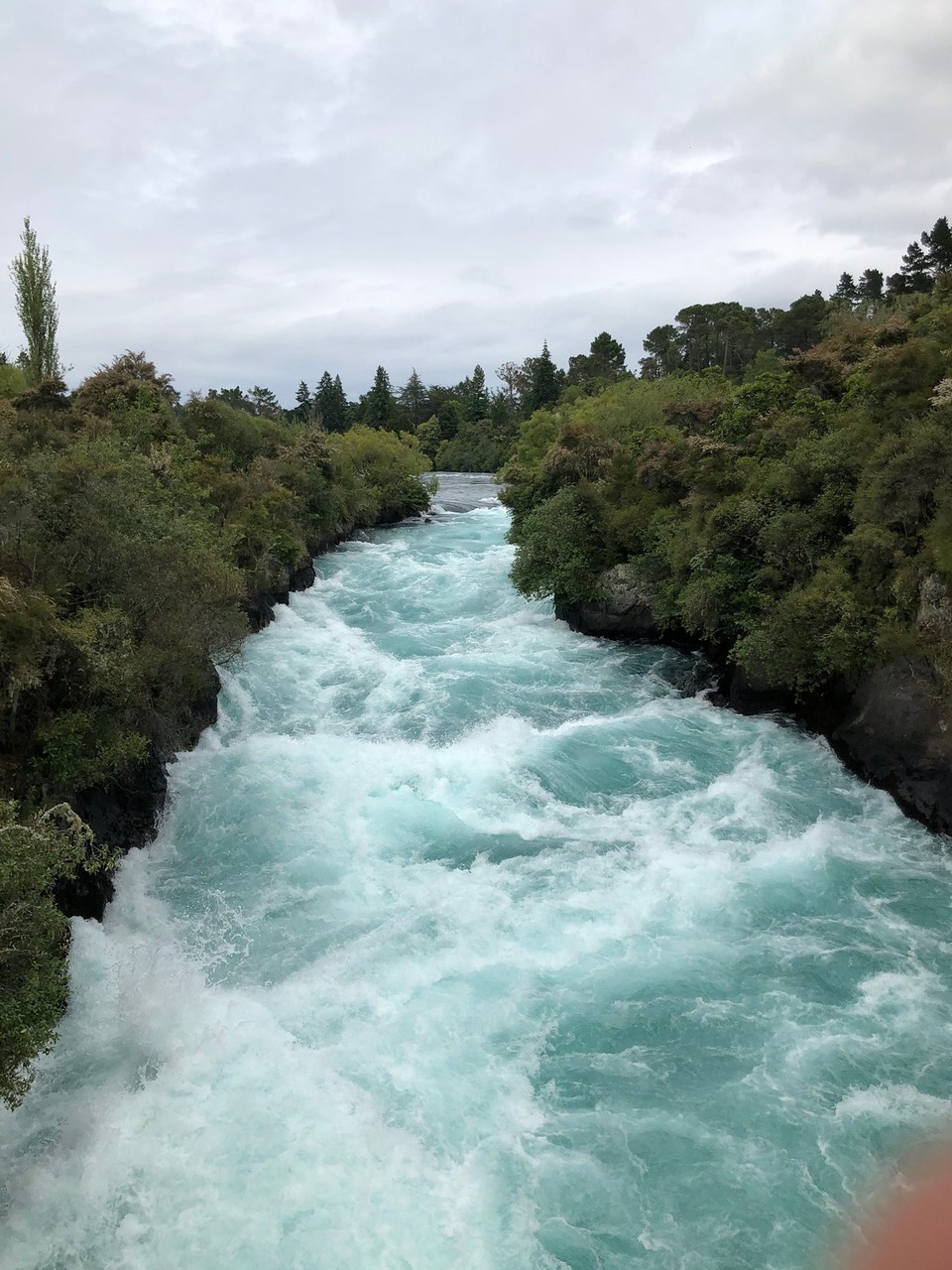 Neuseeland - Motutere - Waikato River, einziger Abfluss des Lake Taupo