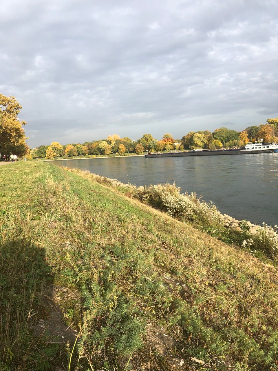 Deutschland - Ludwigshafen am Rhein - 