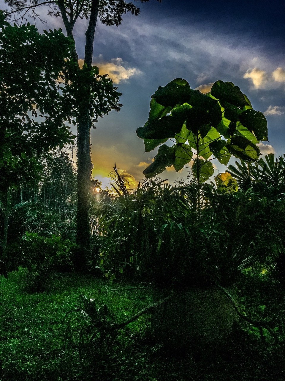  - Phang Nga - 