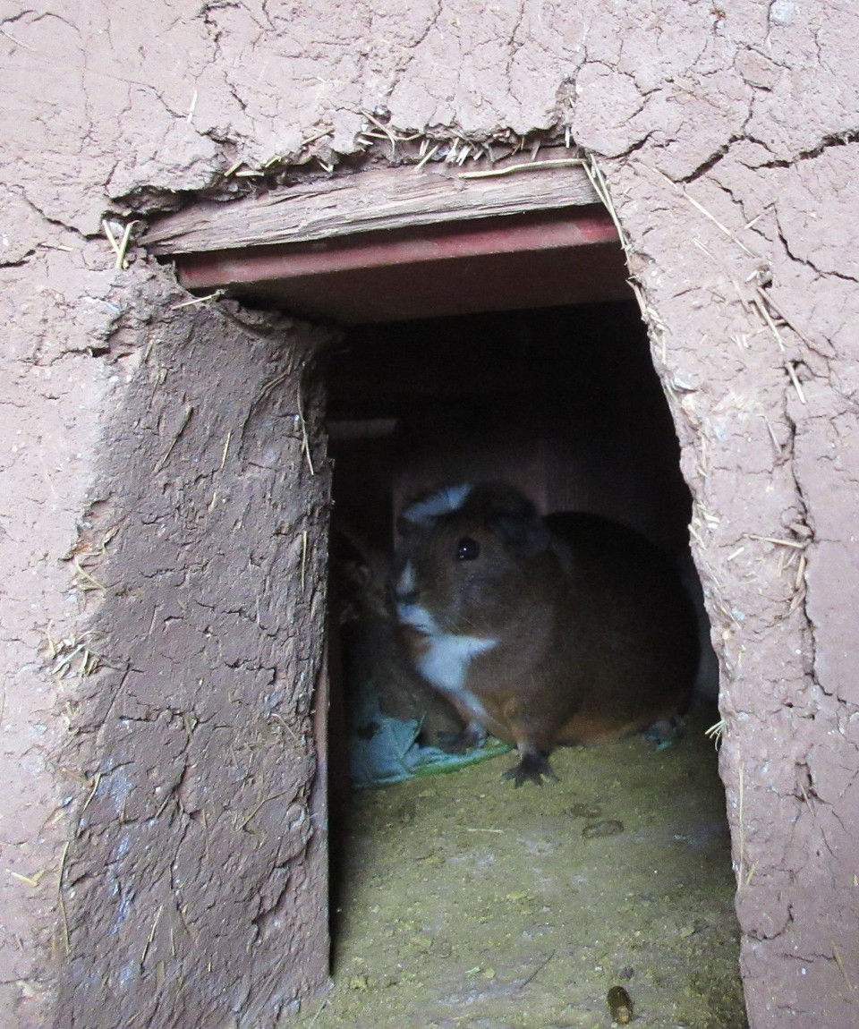 Peru -  - 