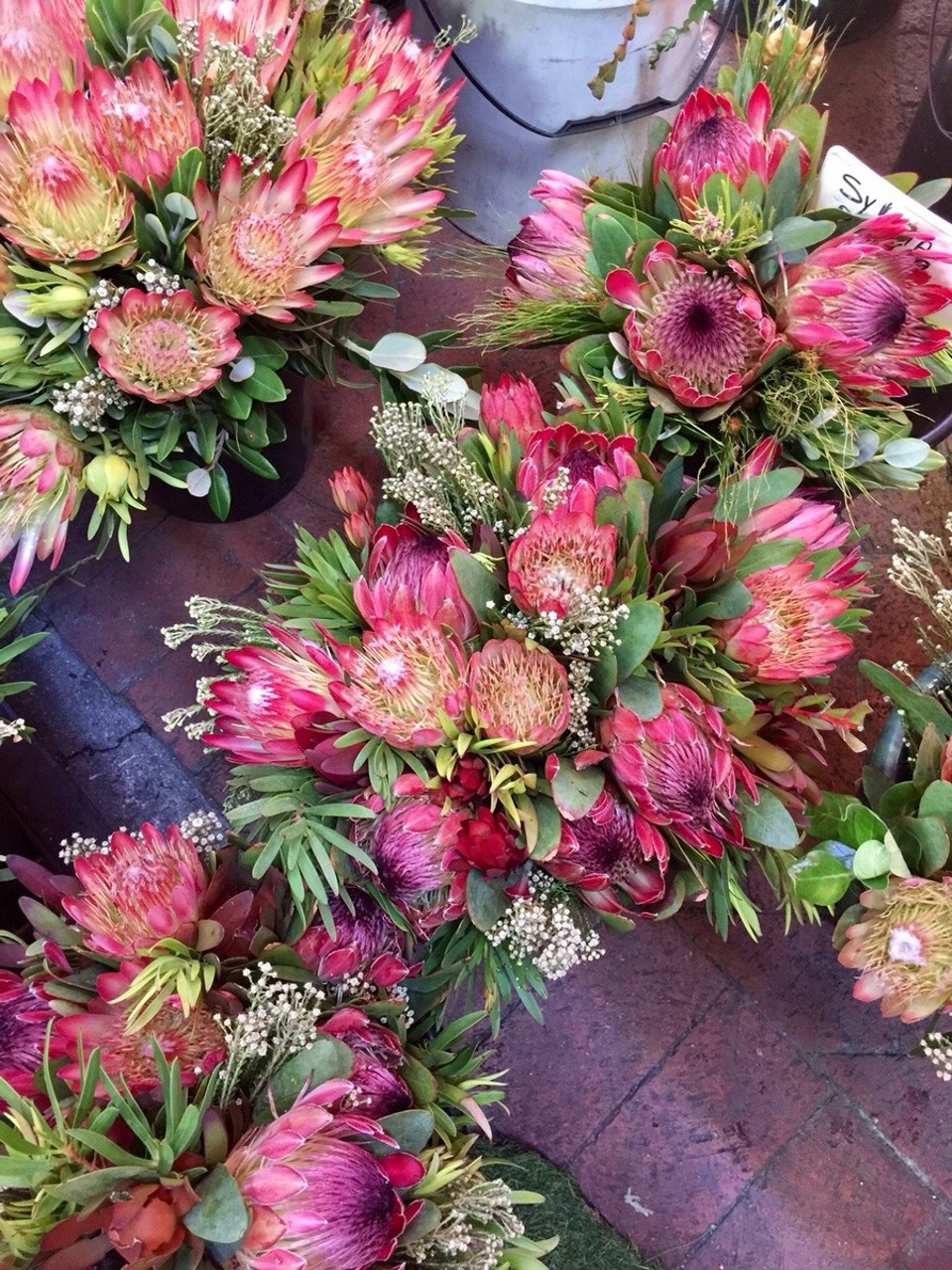 Südafrika - Cape Town - Blumen Saturdaymarket