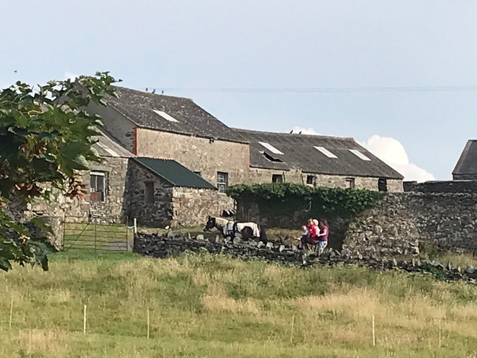 Vereinigtes Königreich - Holyhead - Üsi Vermieterin mit eim vo ihrne Rösser

Sit emne schwäre Rittunfau , wosi dr Rügge a zwene Steue het broche, füeut si sich nüm wohu zritte.
Drum tuet si jitz Wägele