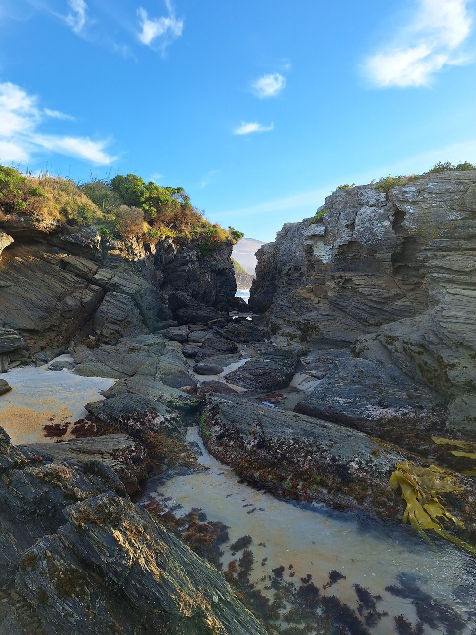 Neuseeland - Dunedin - 