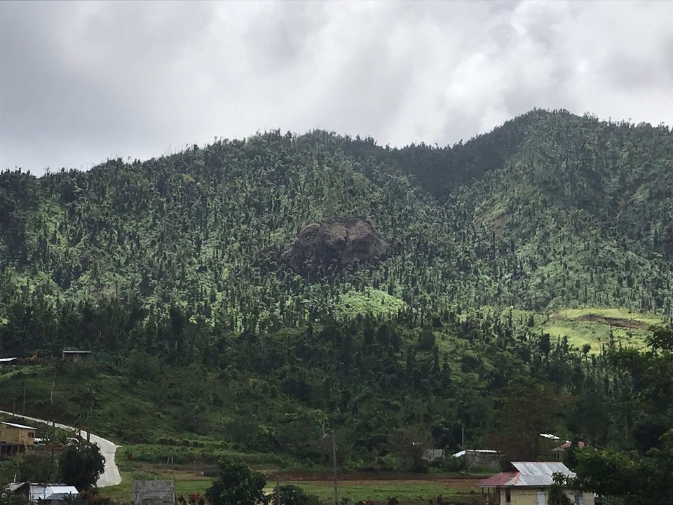 Dominica -  - 