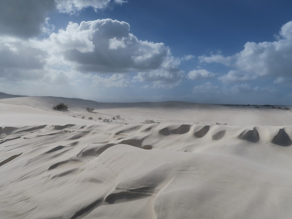 Australia - Perth - Lancelin et ses dunes de sable blanc : au choix surf de dunes ou 4x4!