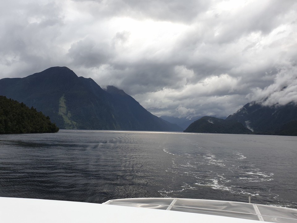 Neuseeland - Doubtful Sound - 