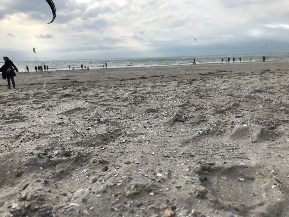Niederlande - Burgh-Haamstede - 