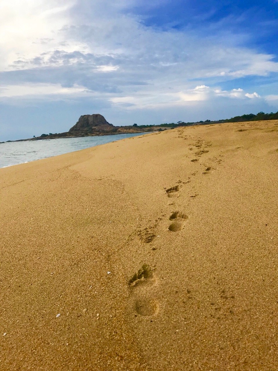 Sri Lanka -  - SPUREN IM SAND 🙏🏼 👣