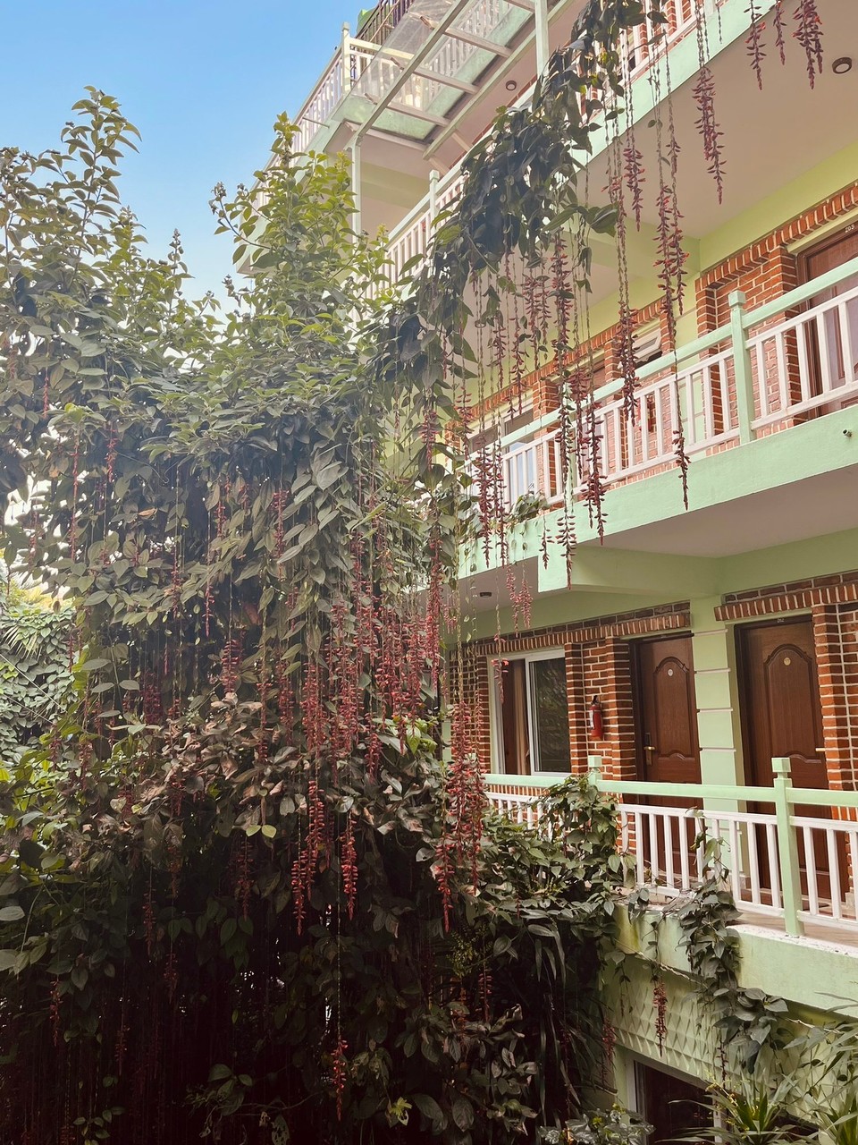 Nepal - Pokhara - 