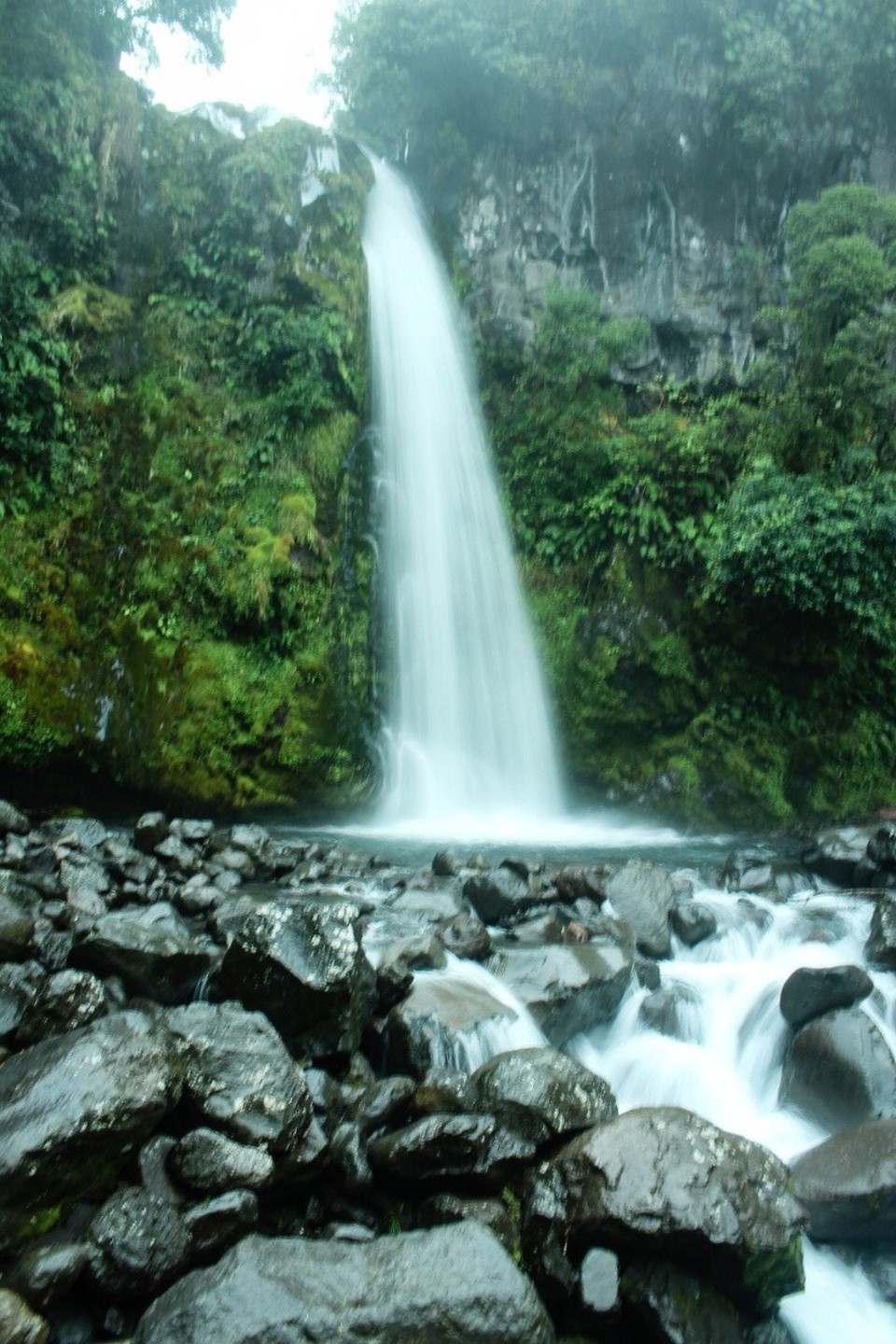 Neuseeland -  - 