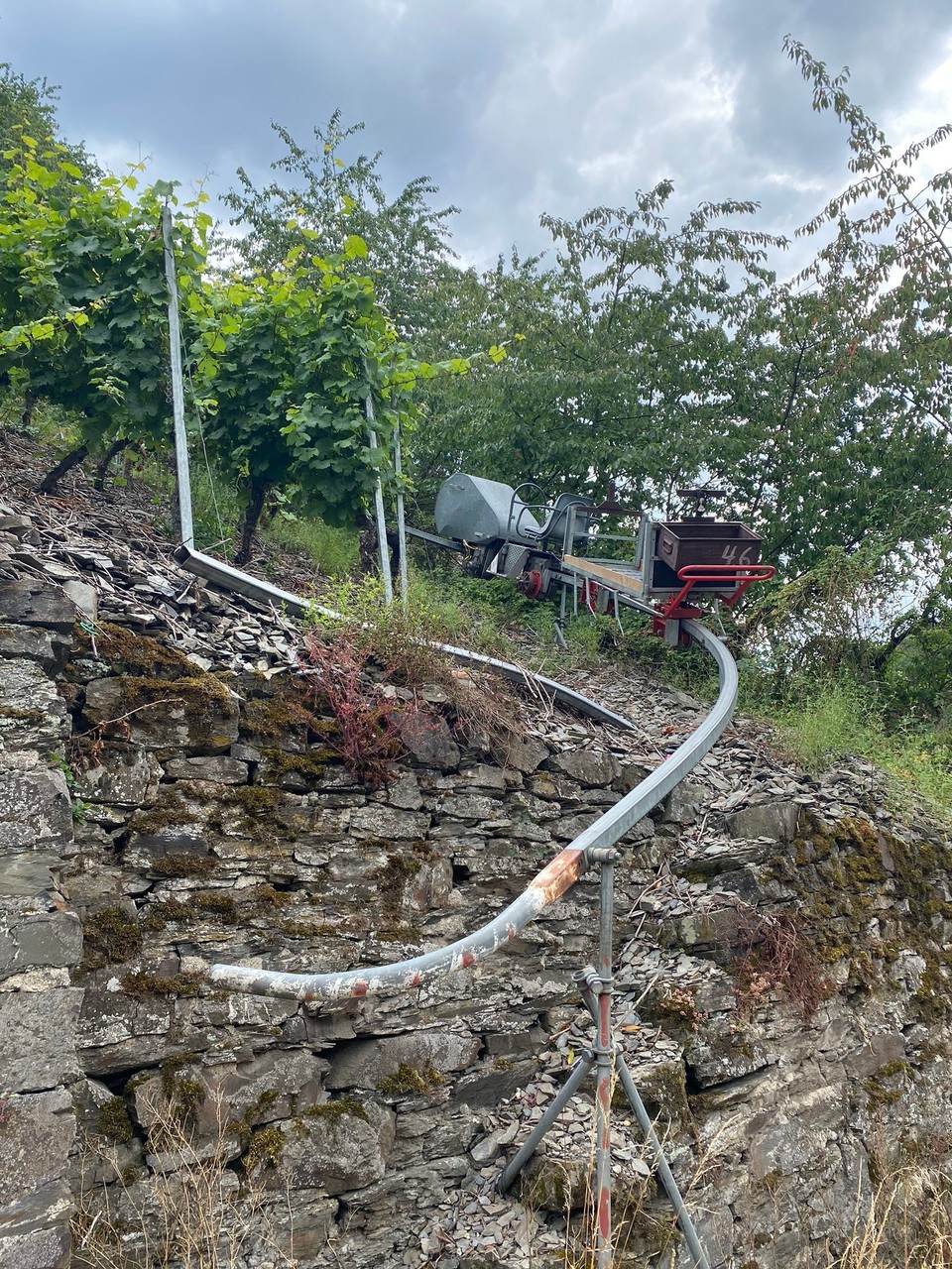 Deutschland - Winningen - Auf in den Berg