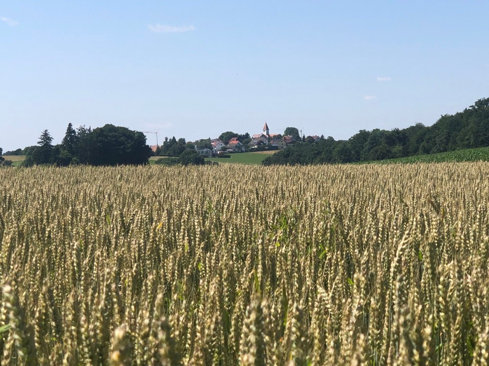 Deutschland - Treuchtlingen - Blick zurück nach Auernheim - 2,50€!