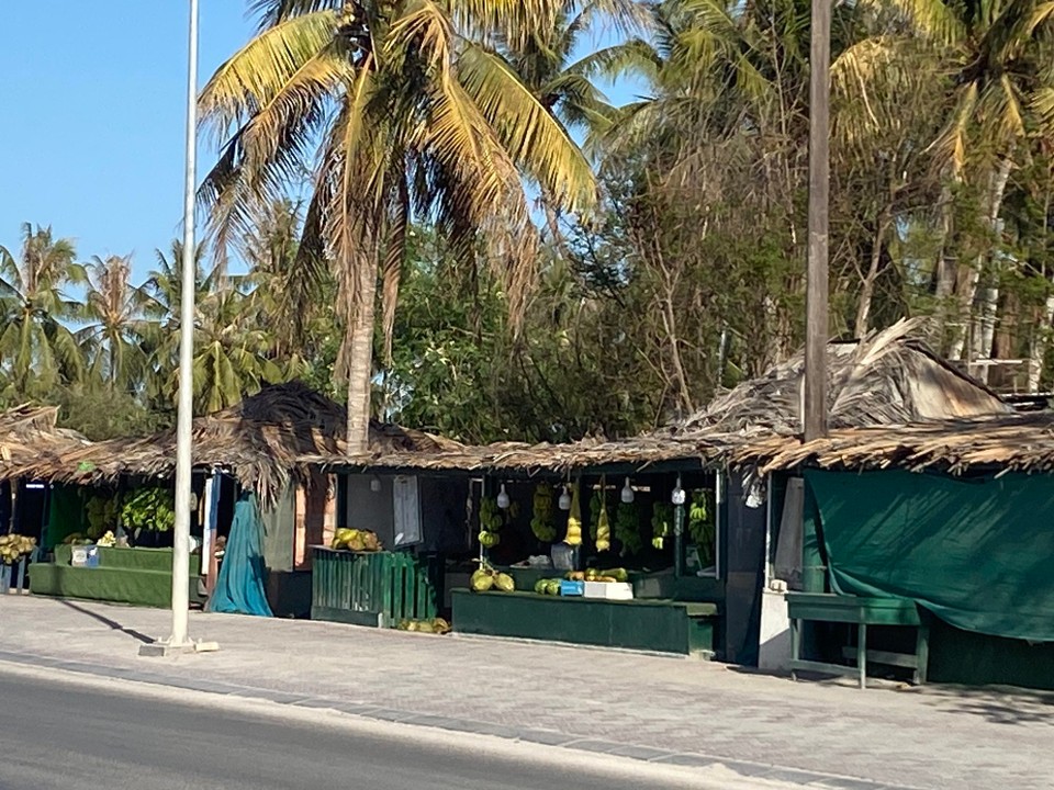 Oman -  - Kaufen direkt vom Bauern