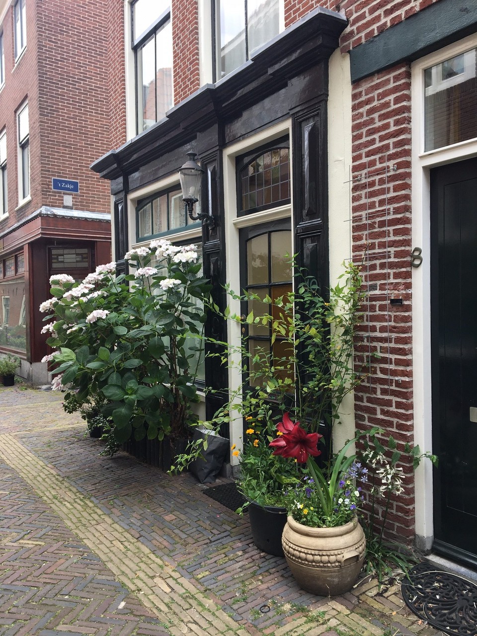 Niederlande - Haarlem - 