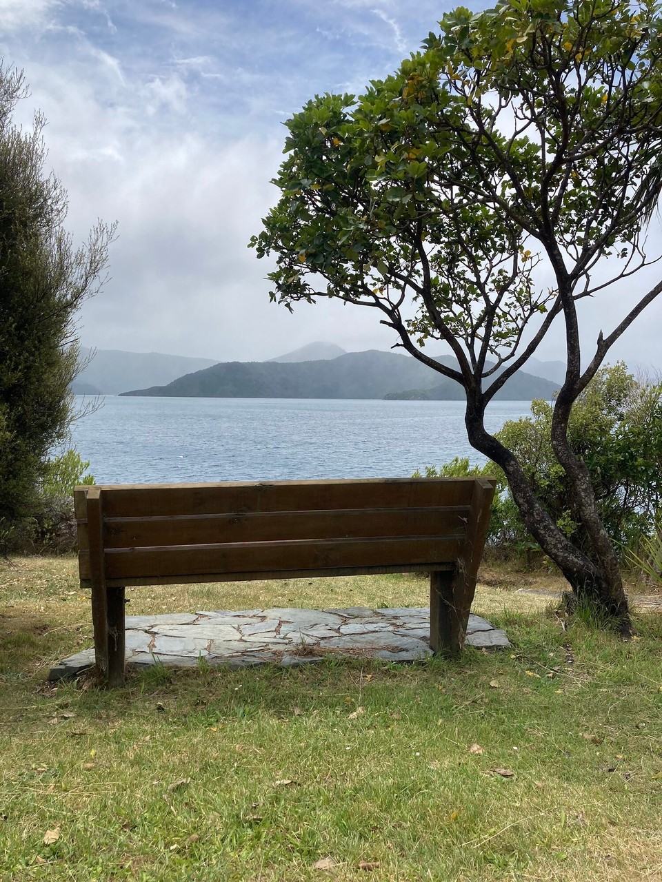 Neuseeland - Picton - Karaka Point