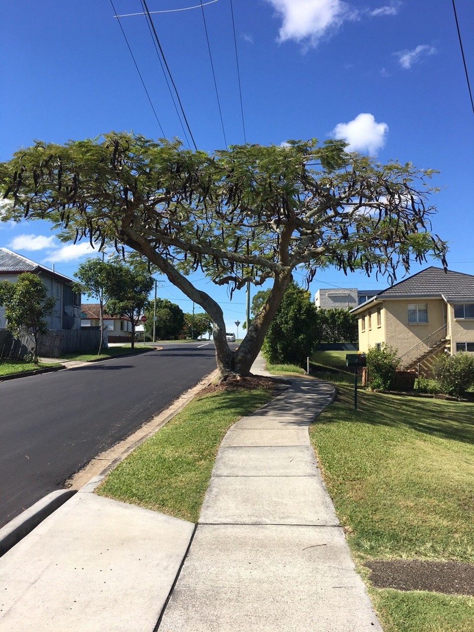 Australien - Upper Mount Gravatt - 