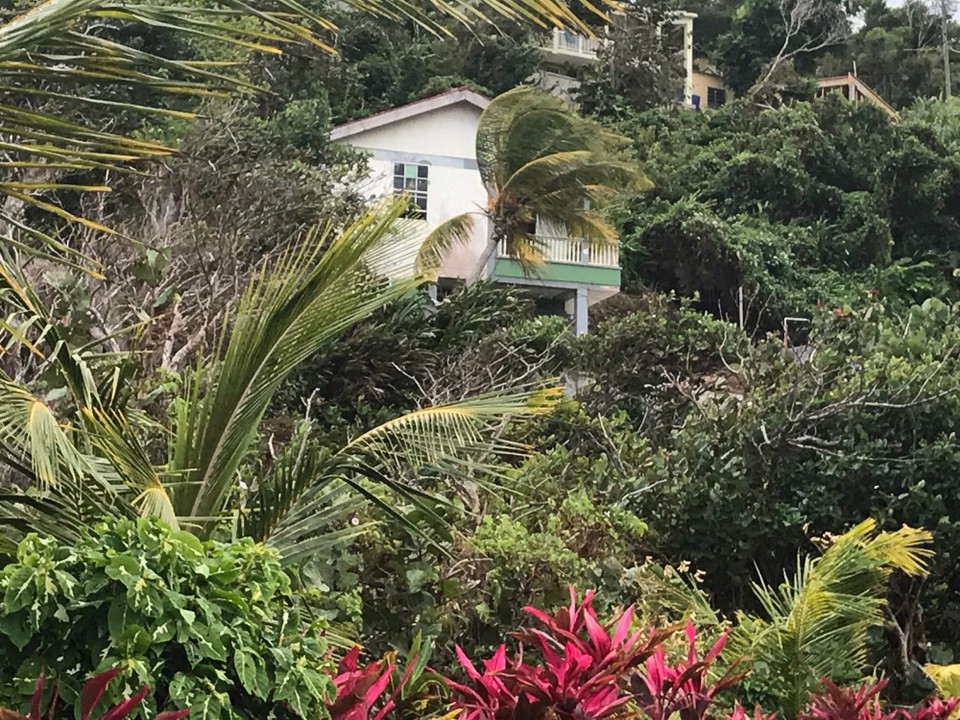 Dominica -  - 