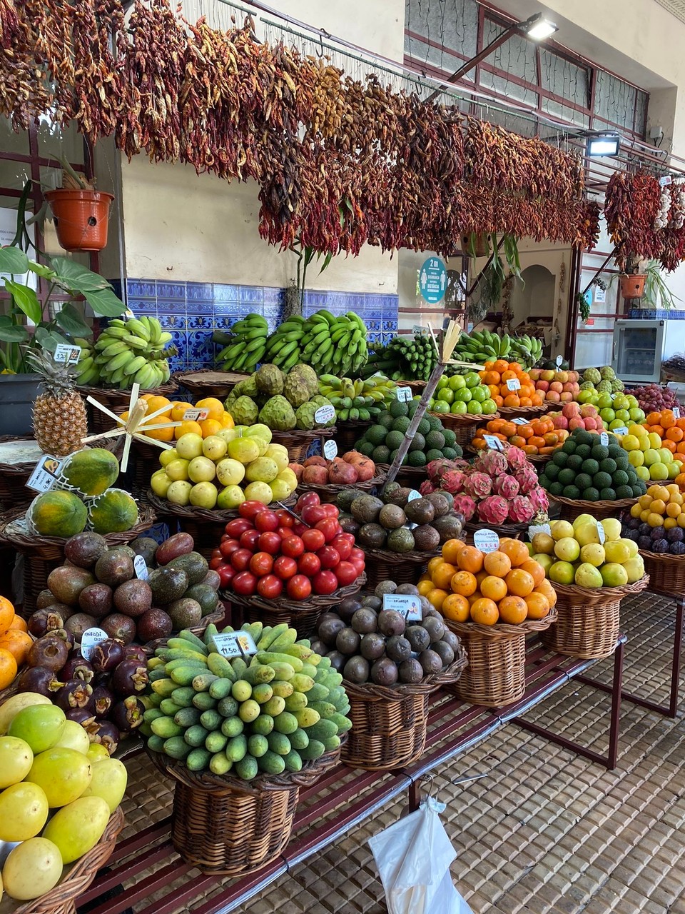 Portugal - Santa Cruz - 