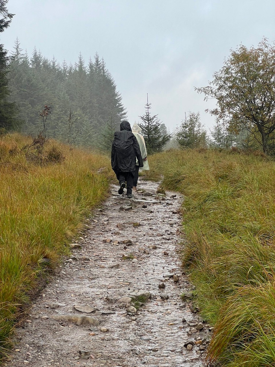 Vereinigtes Königreich - Bridge Of Orchy - 