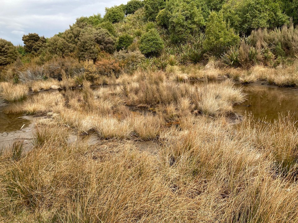 Neuseeland - Mount Peel - 