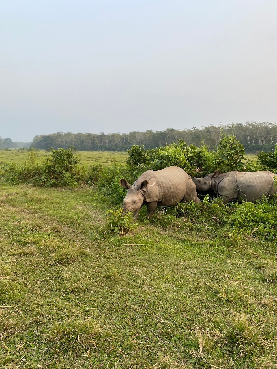 Nepal -  - 