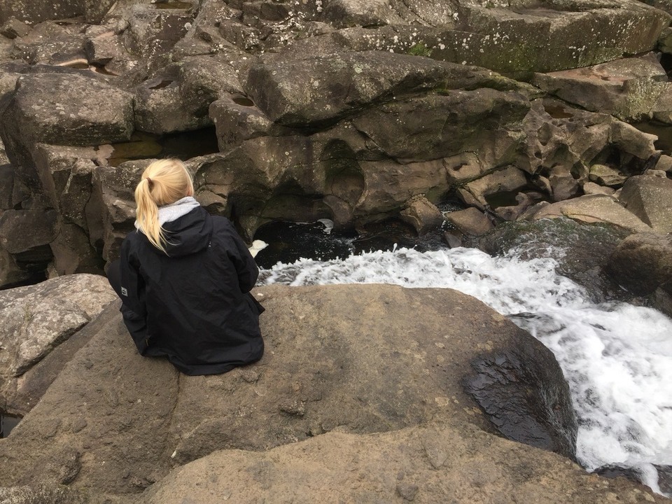  - Neuseeland, Lower Kaimai, McLaren Falls - 